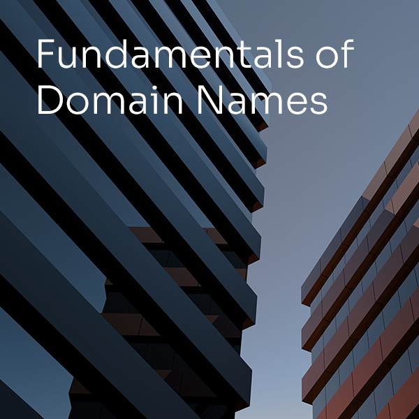 Fundamentals of domain names